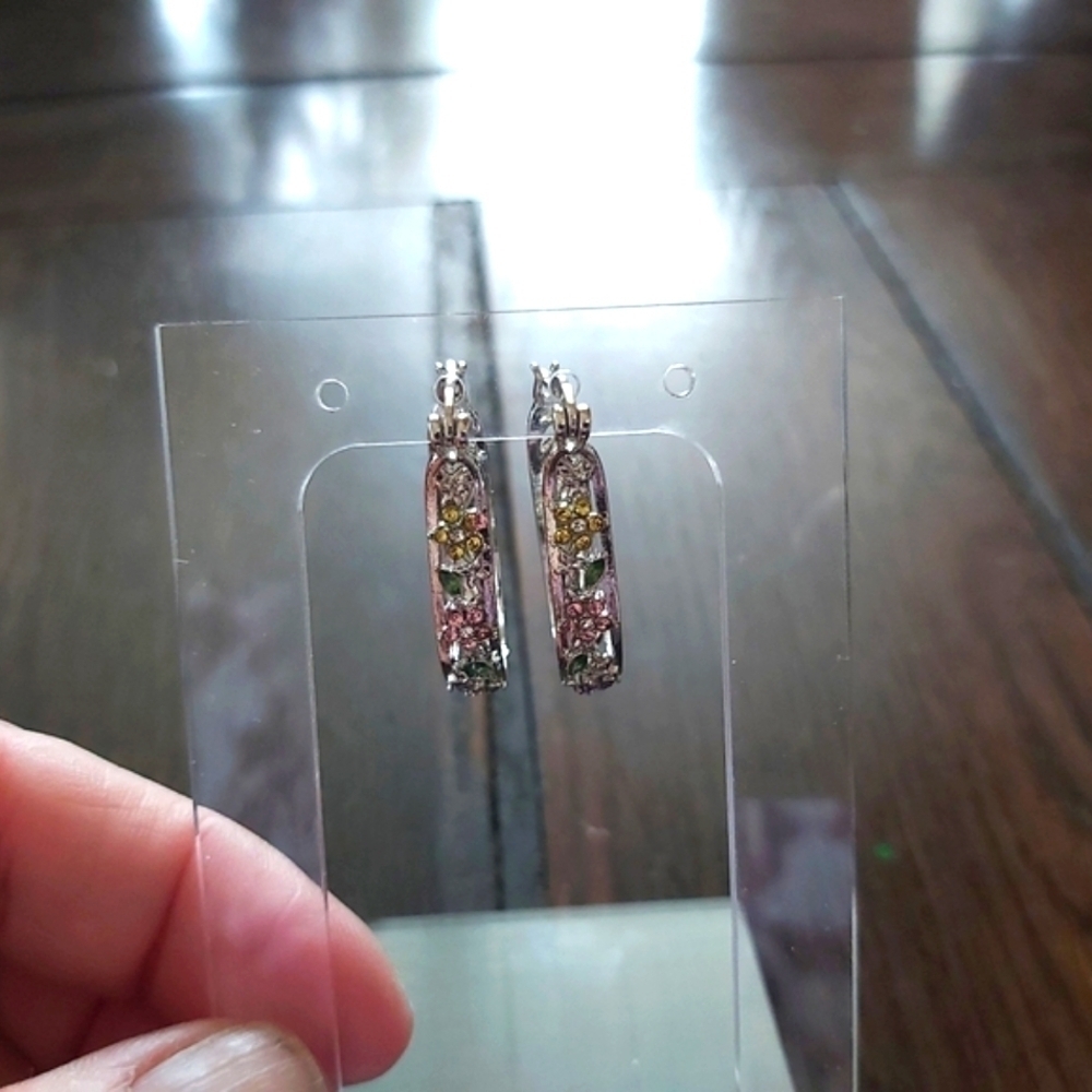 Earrings/costume